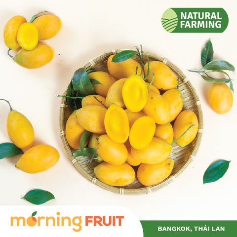  Thanh trà Thái Lan 