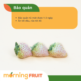  Dâu Bạch Tuyết 