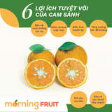  Cam sành hữu cơ Măng Đen 