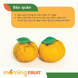  Cam sành hữu cơ Măng Đen 