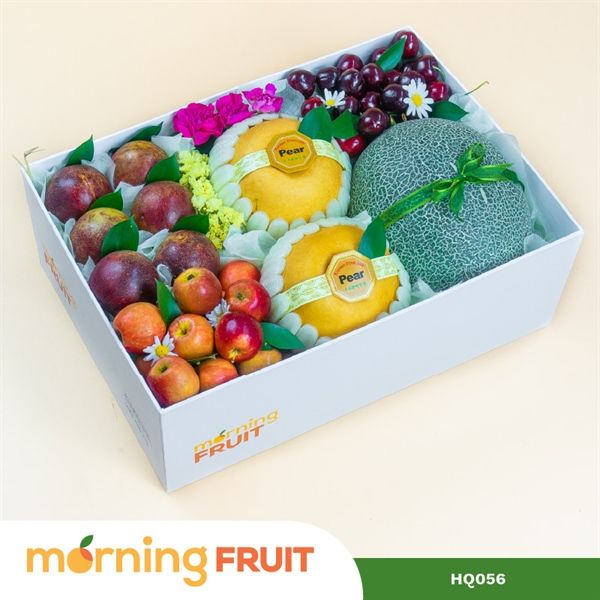  Hộp quà trái cây HQ056 