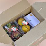  Hộp quà dạng xách XT001 