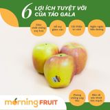  Táo Ambrosia Mỹ 
