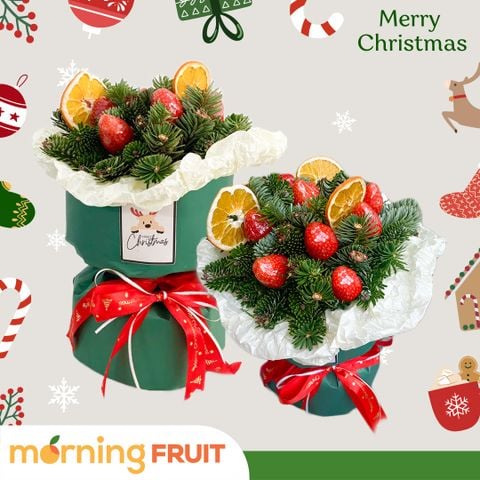  Bó Dâu Hàn Quốc Phối Thông Tươi 