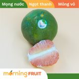 Bưởi da xanh size nhỏ 