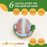  Bưởi da xanh size nhỏ 