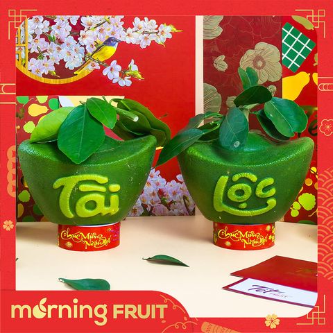  Bưởi Tài Lộc thỏi vàng 