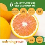  Cam Cara Mỹ 