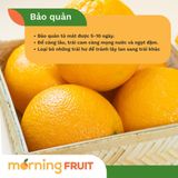  Cam Cara Mỹ 