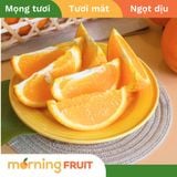  Cam vàng Ai Cập 