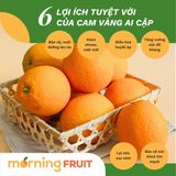  Cam vàng Ai Cập 