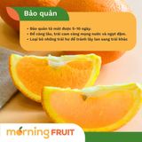  Cam vàng Ai Cập 