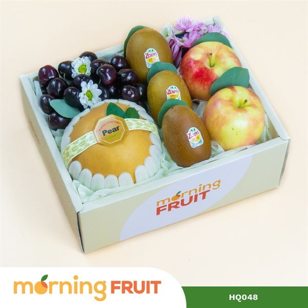  Hộp quà trái cây HQ048 