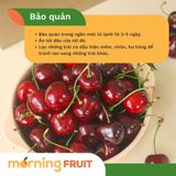  Cherry đỏ Tasmania 