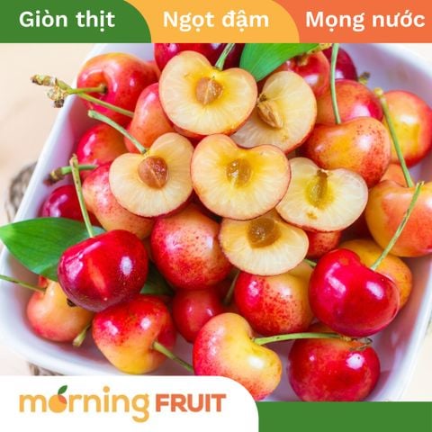  Cherry vàng Mỹ 