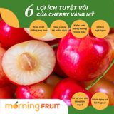  Cherry vàng Mỹ 