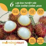  Chôm chôm Java 