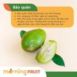  Cóc già Tiền Giang 