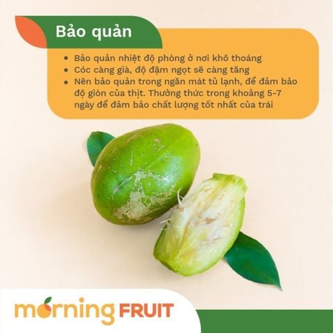 Cóc già Tiền Giang 