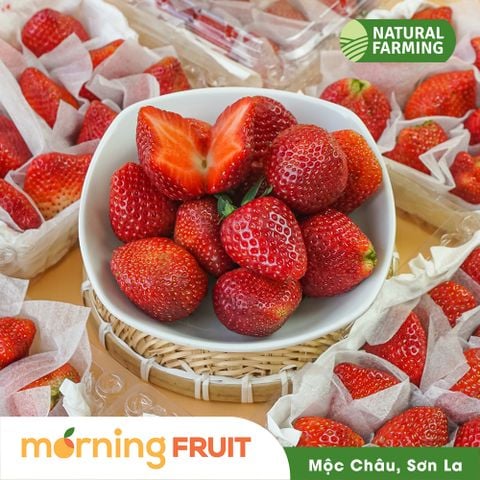  Dâu tây Mộc Châu (hộp 500GR) 
