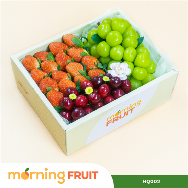  Hộp quà trái cây HQ002 