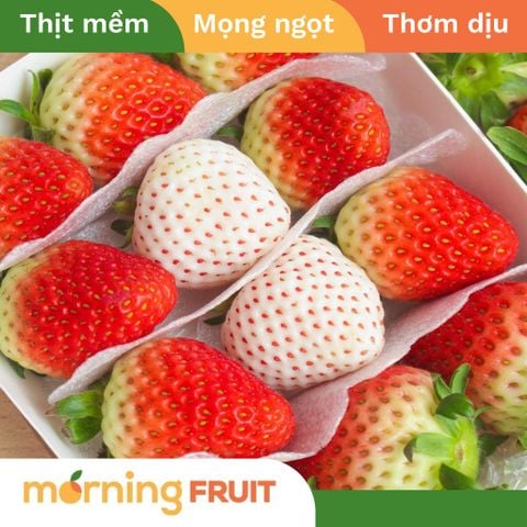  Dâu 2 màu Hàn Quốc Joy Farm (hộp 200GR) 