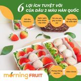  Dâu 2 màu Hàn Quốc Joy Farm (hộp 200GR) 