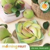  Đào hồng Mông Tự 