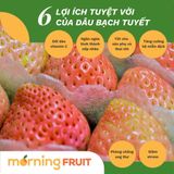  Dâu bạch tuyết Hàn Quốc (hộp 330GR) 