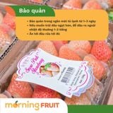  Dâu bạch tuyết Hàn Quốc (hộp 330GR) 