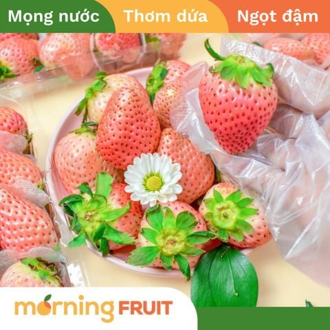  Dâu bạch tuyết Hàn Quốc (hộp 330GR) 