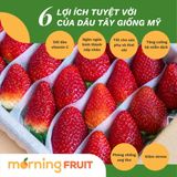  Dâu tây giống Mỹ 