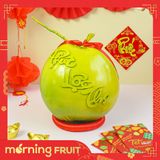  Dừa Phúc Lộc Thọ 