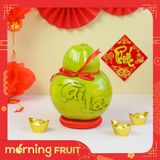  Dừa Tài Lộc hồ lô 