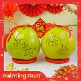  Cặp dừa Vạn Sự - Như Ý 
