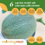  Dưa lưới Biển Ngọc Bích (KG) 