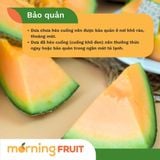  Dưa lưới Queen 