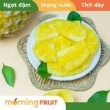  Dứa Queen 