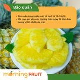  Dứa Queen 