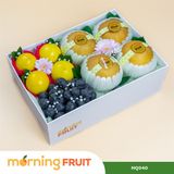 Hộp quà trái cây HQ040 