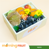  Hộp quà trái cây HQ016 