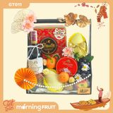  Giỏ Quà Tết An Khang GT011 