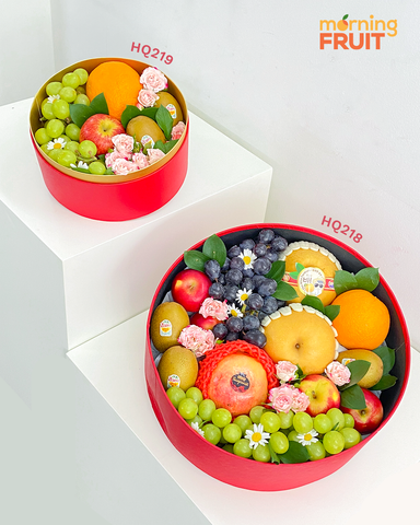  Hộp quà trái cây HQ219 