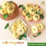  Đào sữa Hoàng Kim 