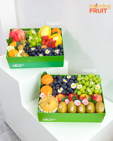  Hộp quà trái cây HQ222 