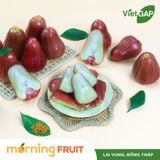  Mận An Phước 