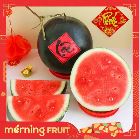  Dưa hấu Tiểu Hắc Long 