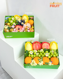  Hộp quà trái cây HQ220 