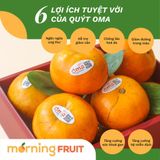  Quýt Oma Giống Úc 