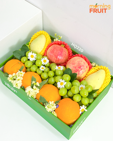  Hộp quà trái cây HQ220 